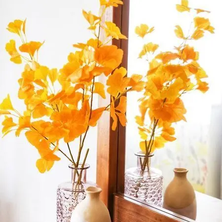 House Haller Apartment *